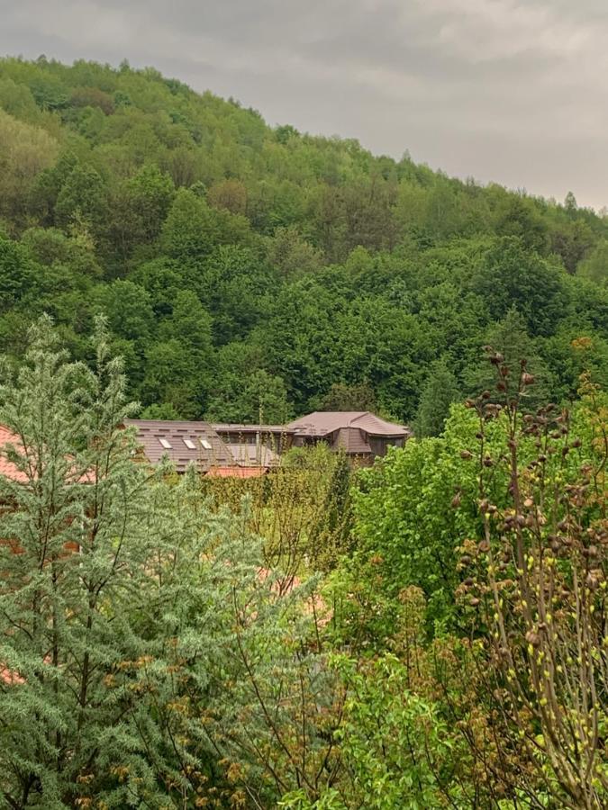 Будинок В Горах 波利亚纳 外观 照片